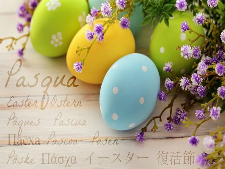 Guarda anche questa offerta: PASQUA 2025 IN VERSILIA